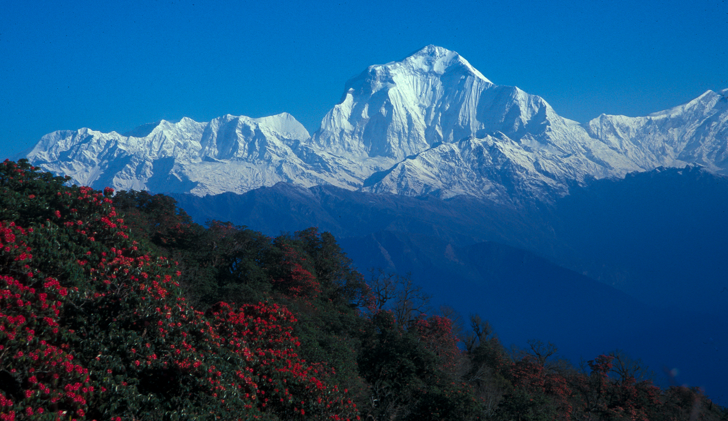 Dhaulagiri